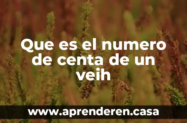 Que es el numero de centa de un veih