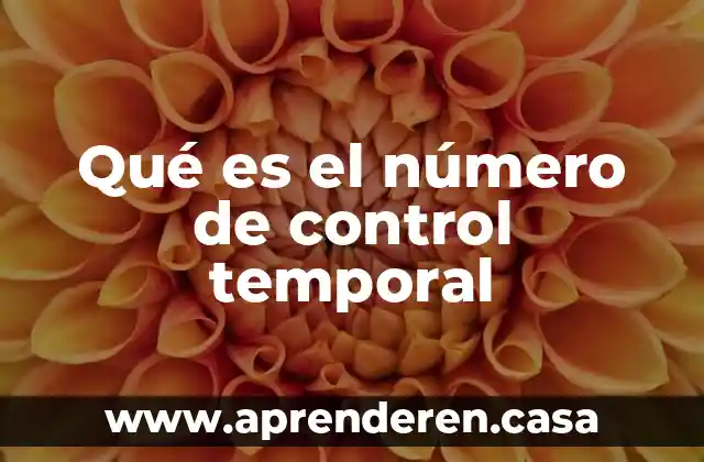 Qué es el número de control temporal