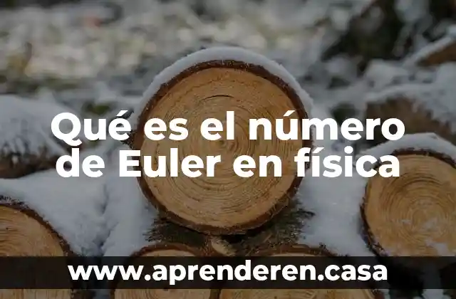 Qué es el número de Euler en física