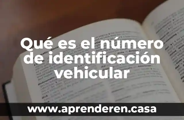 Qué es el número de identificación vehicular