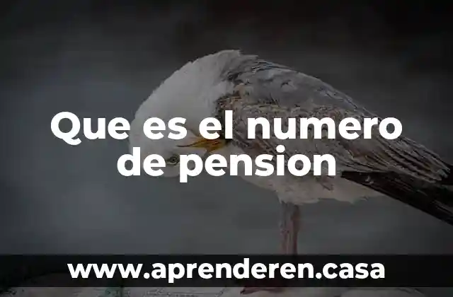 Que es el numero de pension