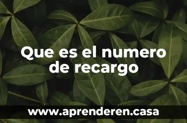 Que es el numero de recargo