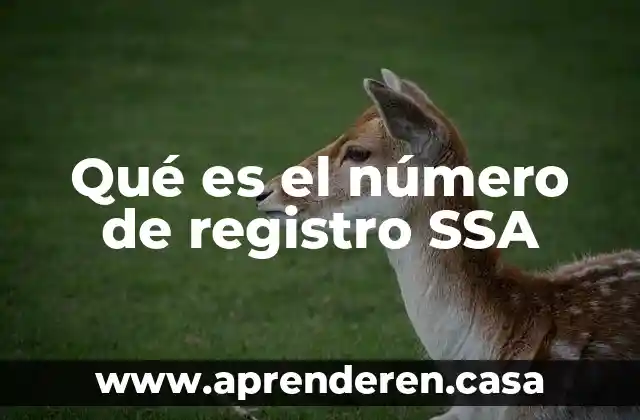 Qué es el número de registro SSA