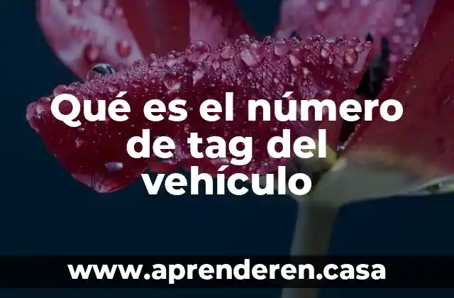 Qué es el número de tag del vehículo