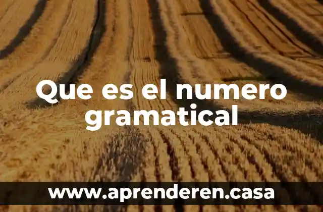 Que es el numero gramatical