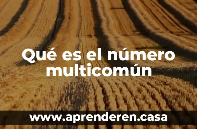 Qué es este número 5550622685 6 Qué es el número multicomún