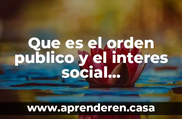 Que es el orden publico y el interes social jurisprudencia