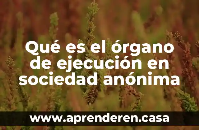 Qué es el órgano de ejecución en sociedad anónima