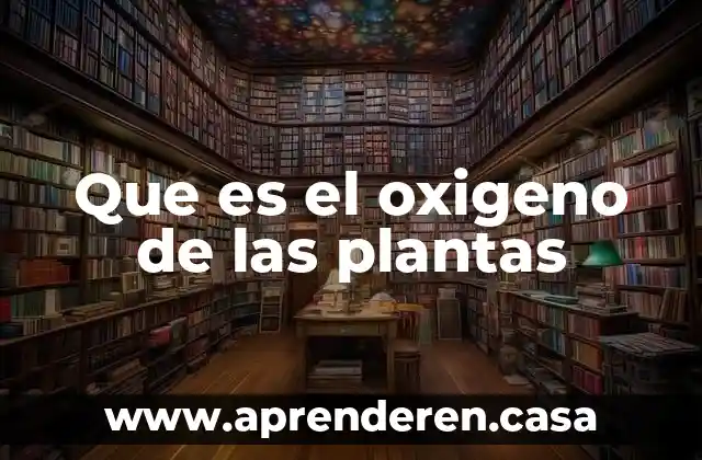 Que es el oxigeno de las plantas