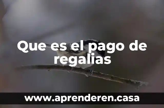 Que es el pago de regalias