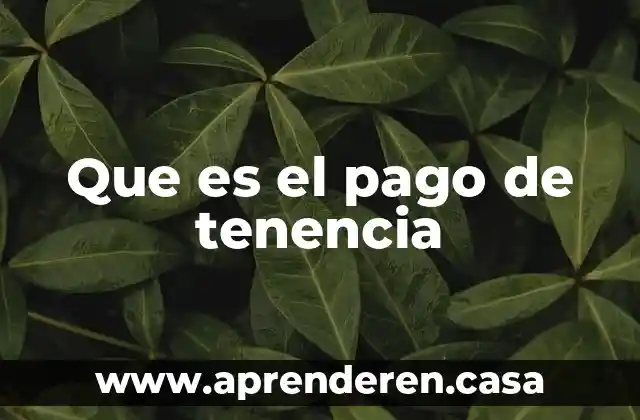 Que es el pago de tenencia
