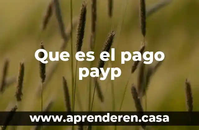 Que es el pago minimo bcp 7 Que es el pago payp
