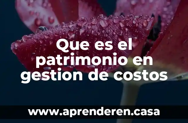 Qué es la contabilidad en costos 7 Que es el patrimonio en gestion de costos
