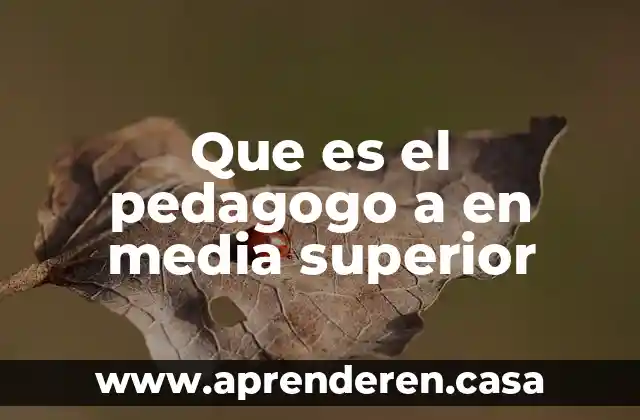 Qué es una área de técnico superior universitario 5 Que es el pedagogo a en media superior