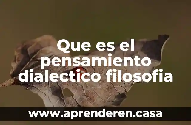 Que es el pensamiento dialectico filosofia