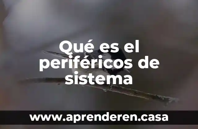 Qué es el sistema M1 en la XDMX 7 Qué es el periféricos de sistema