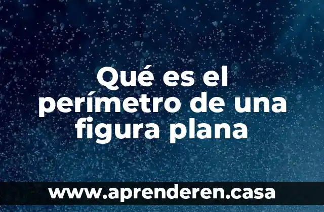 Qué es el perímetro de una figura plana