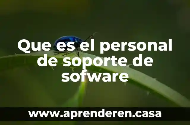 Que es el personal de soporte de sofware