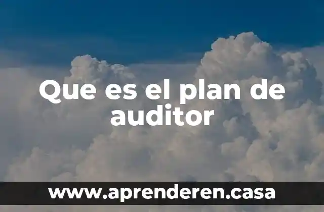 Que es el plan de auditor