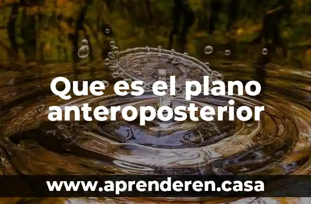 Qué es un plano del terreno 5 Que es el plano anteroposterior
