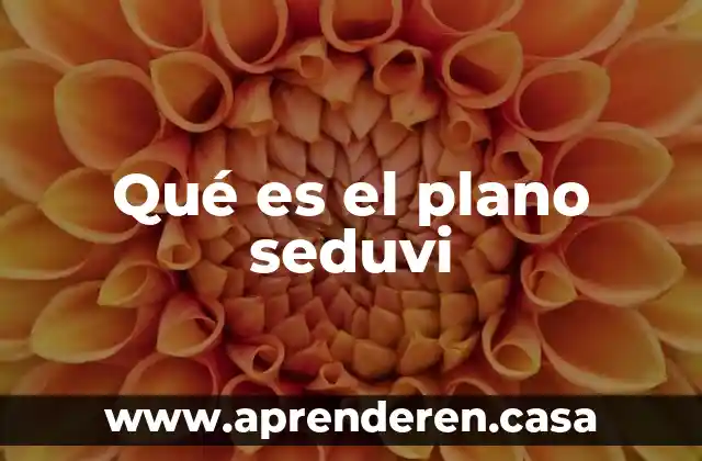 Que es un plano parasagital 8 Qué es el plano seduvi