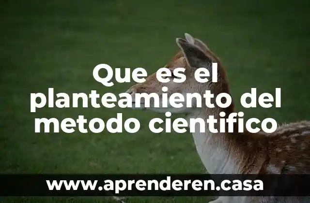 Planteamiento y formulacion del problema que es 3 Que es el planteamiento del metodo cientifico