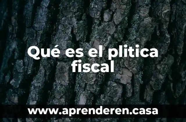 Qué es un PAC fiscal 3 Qué es el plitica fiscal