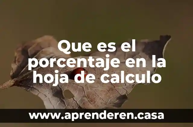 Proporción que es aplicada cuando calculamos un porcentaje 5 Que es el porcentaje en la hoja de calculo