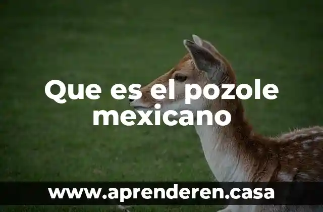 Que es el director tecnico de futbol soccer bosetti mexicano 3 Que es el pozole mexicano