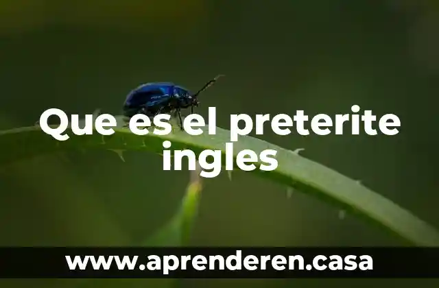 Que es el preterite ingles
