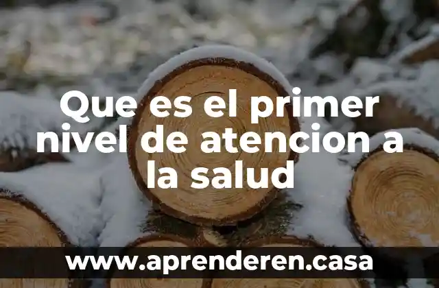 Que es el primer nivel de atencion a la salud