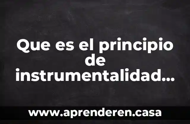 Que es el principio de instrumentalidad segun la filosofia