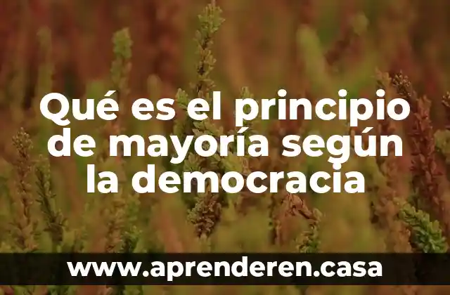 Qué es el principio de mayoría según la democracia