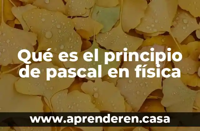 Qué es el principio de pascal en física