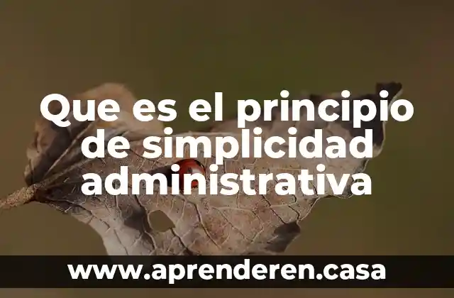 Que es el principio de simplicidad administrativa