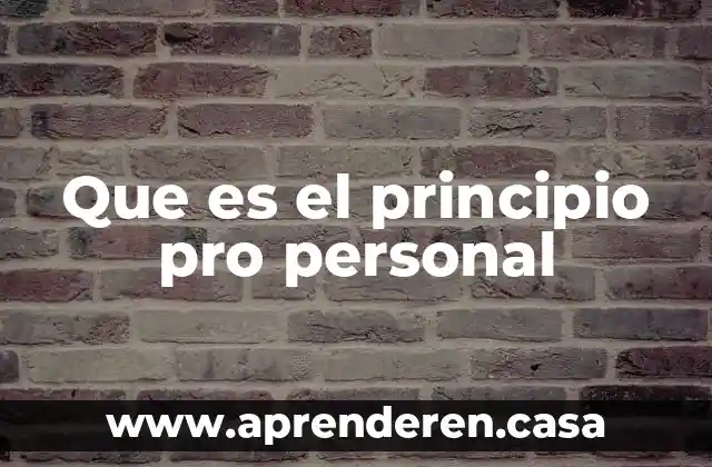 Que es el principio pro personal
