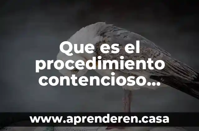 Que es el procedimiento contencioso administrativo yahoo