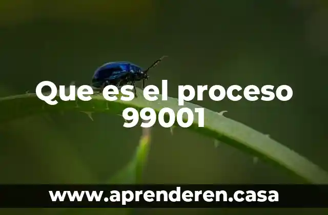 Que es el proceso 99001