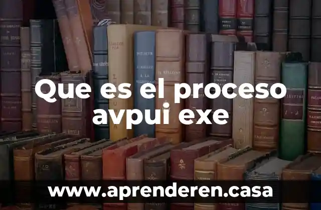 Que es el proceso avpui exe