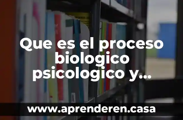 Que es el proceso biologico psicologico y social