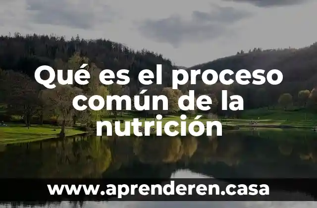 Que es un componente comun 5 Qué es el proceso común de la nutrición