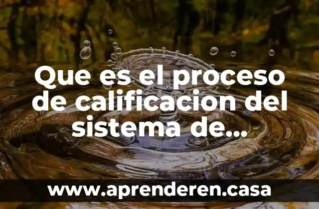 Que es el proceso de calificacion del sistema de conflictos