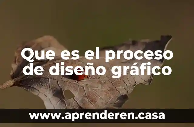 Que es el proceso de diseño gráfico