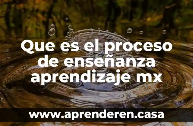 Que es el proceso de enseñanza aprendizaje mx
