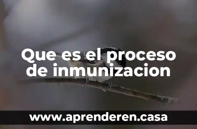 Que es el proceso racional de la toma de decisiones 7 Que es el proceso de inmunizacion