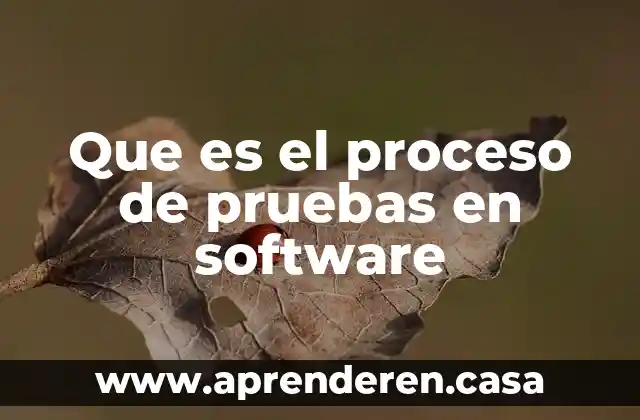 Que es el proceso de pruebas en software
