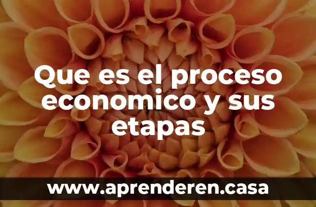 Que es el proceso economico y sus etapas