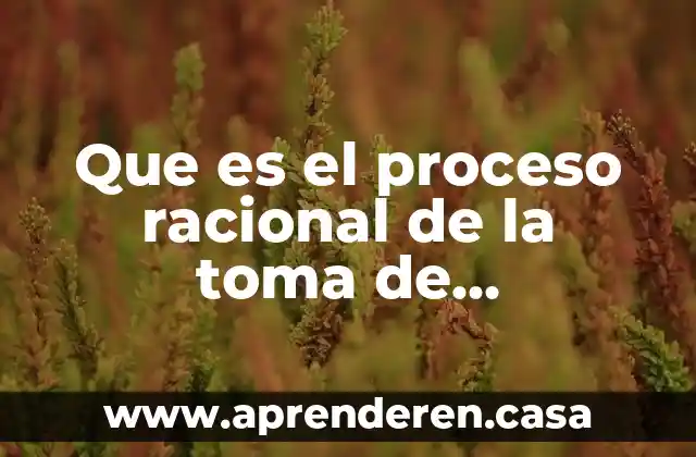 Que es el proceso de inmunizacion 7 Que es el proceso racional de la toma de decisiones