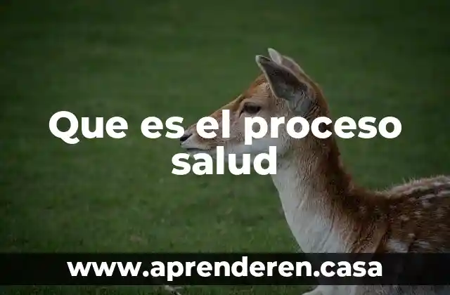 Que es el proceso salud