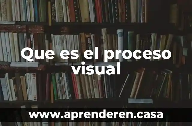 Que es el proceso visual